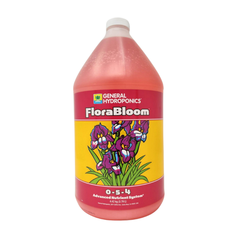 Flora Bloom