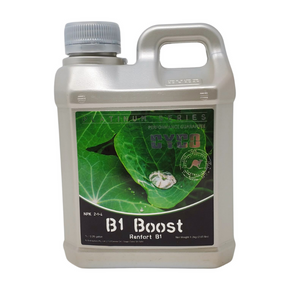 Cyco B1 Boost